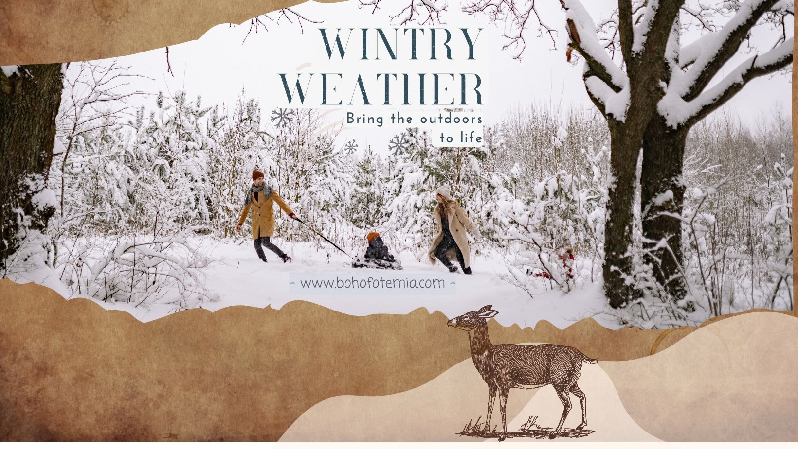 Winter Photography Camera Gear